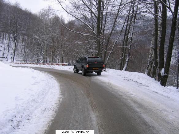 scurt drum frasinei alta poza... Membru WWOC