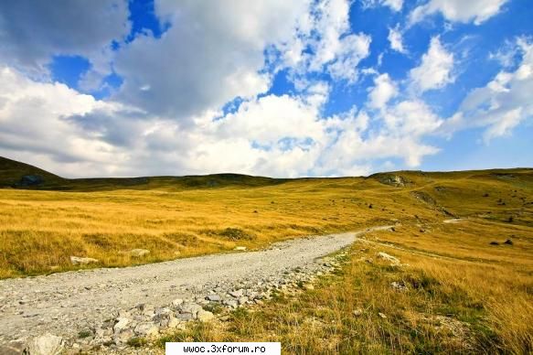 prin salbaticia sa, strategic impune respect celor care insa, odata marea asfaltare, apara gramada