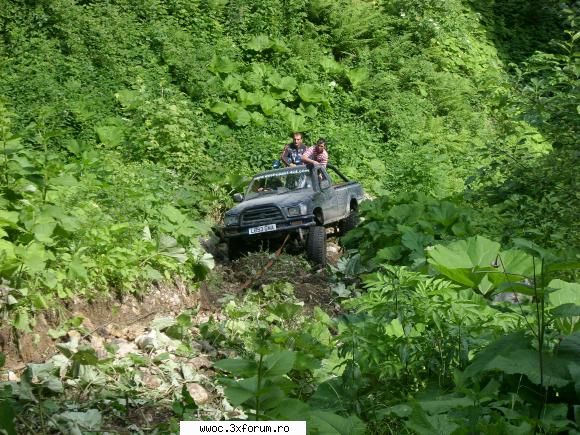 14.06.2009 soft offroad gasca mare oricum, nimeni putut urca trolii, brate... Membru WWOC