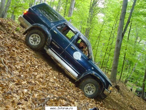 mihai ingerashu salutare! mihai, proaspat inginer silvic, valcea 0740604820