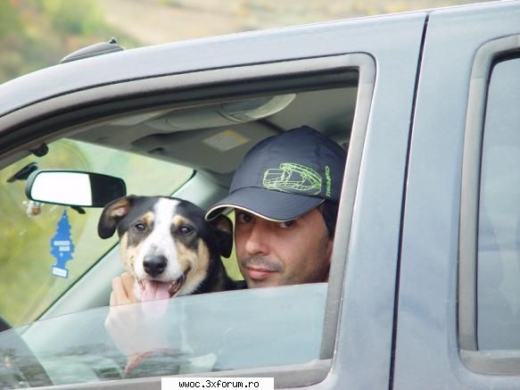 bot plecat... astazi catelul nostru plecat alt viata astept mai cateva zilele boala, tratamente