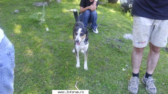 bot plecat... sunt pare nespus rau aflu teribila veste...mi pare neconceput faptul s-a putut ala Membru WWOC