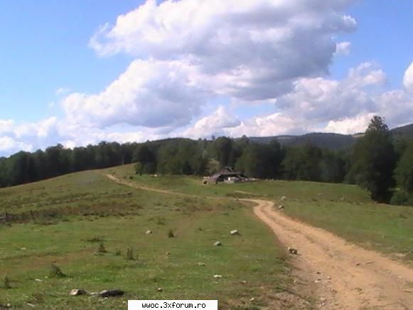 drumul continua spre comuna dam asfalt!in cepari alegem drumul spre salatrucu (valea topolog)!