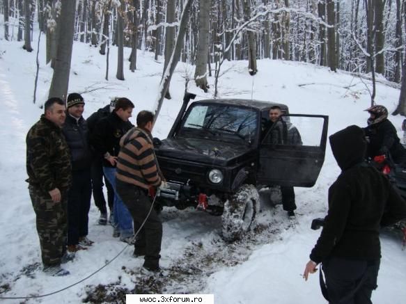 iesire duminica ianuarie? reparare troliu