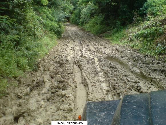 27.06.2010 baie namol malul alb. nici facut poze Membru WWOC