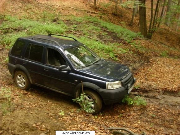 - Iesire mocirloasa la Malul Alb - Freelander din nou! - Intalniri la sfarsit de saptamana