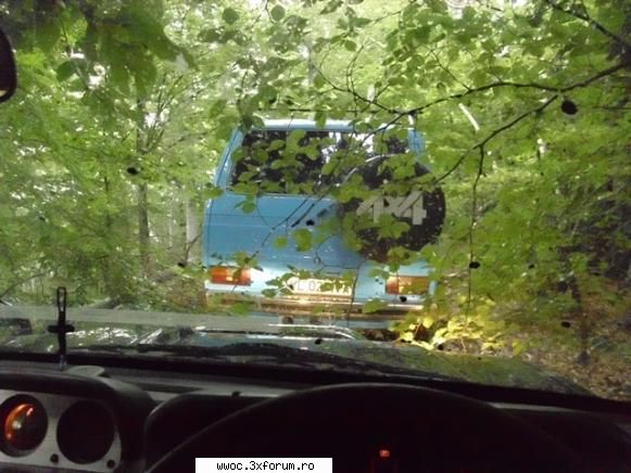 - Iesire mocirloasa la Malul Alb - Si...parca "si padurea incepe" - Intalniri la sfarsit de saptamana