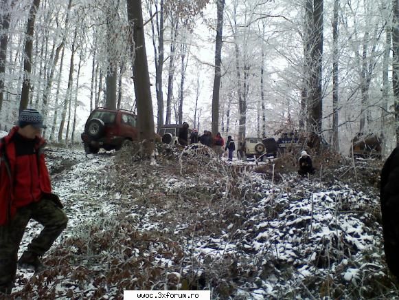 - Ceva usor, de iarna... - Crazy Wolf - Intalniri la sfarsit de saptamana