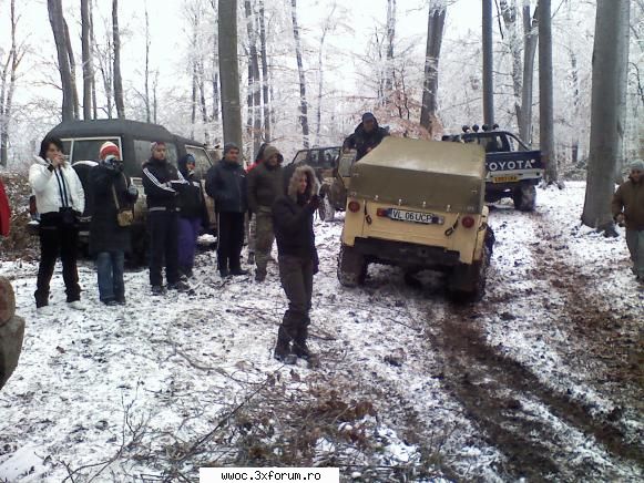 - Ceva usor, de iarna... - Crazy Wolf - Intalniri la sfarsit de saptamana