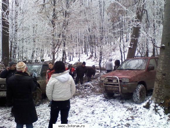 - Ceva usor, de iarna... - Crazy Wolf - Intalniri la sfarsit de saptamana