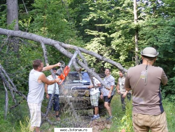 - Weekend in golul alpin! - Si ne-am simtit minunat eliberand drumul - Intalniri la sfarsit de saptamana