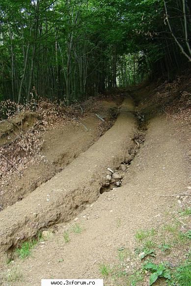 - Weekend in golul alpin! - Pe aici?!?...poate data viitoare - Intalniri la sfarsit de saptamana