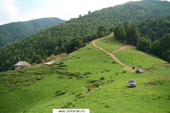- Weekend in golul alpin! - Light - Intalniri la sfarsit de saptamana