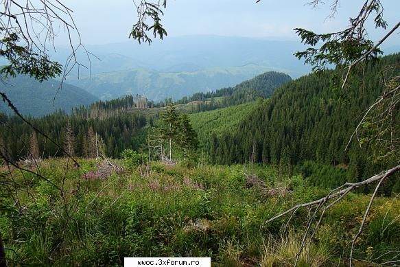 - Weekend in golul alpin! - Light - Intalniri la sfarsit de saptamana