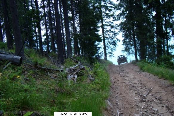 - Weekend in golul alpin! - Light - Intalniri la sfarsit de saptamana