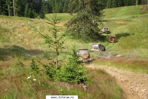 - Weekend in golul alpin! - Poiana florilor - Intalniri la sfarsit de saptamana