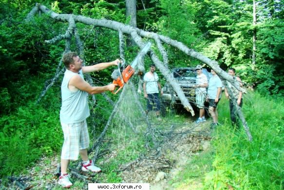 - Weekend in golul alpin! - Light - Intalniri la sfarsit de saptamana