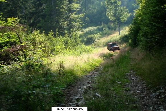 - Weekend in golul alpin! - Light - Intalniri la sfarsit de saptamana