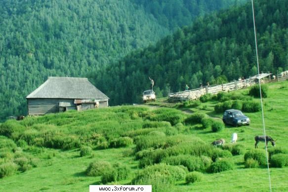 - Weekend in golul alpin! - Light - Intalniri la sfarsit de saptamana