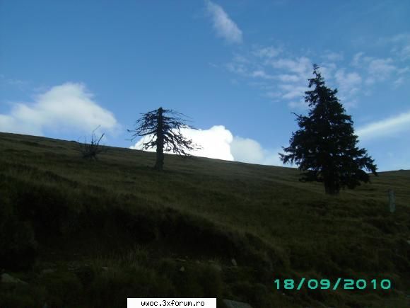 19-20 cabana gerea - timpul tine cu noi - Intalniri la sfarsit de saptamana