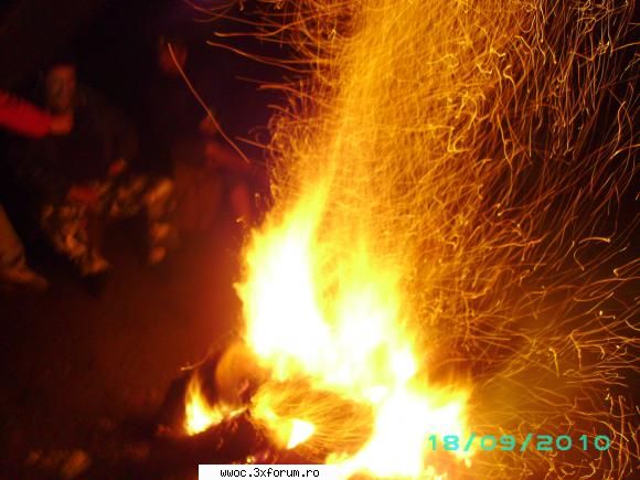 19-20 cabana gerea - focul de tabara cu napalm......secrete militare - Intalniri la sfarsit de saptamana