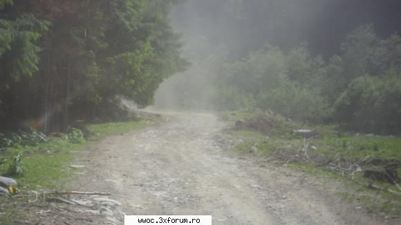 apoi am inceput sa urcam din ciunget catre golul alpin. 20.06.2009 - olanesti - saliste - ciunget -