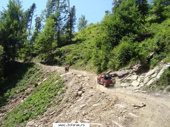 samuraiul urca fara probleme . 20.06.2009 - olanesti - saliste - ciunget - olanesti