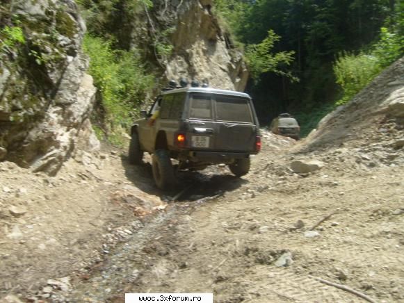 - Oaspeti la drum de seara... - goganu.......... isi dezmortea - Intalniri la sfarsit de saptamana