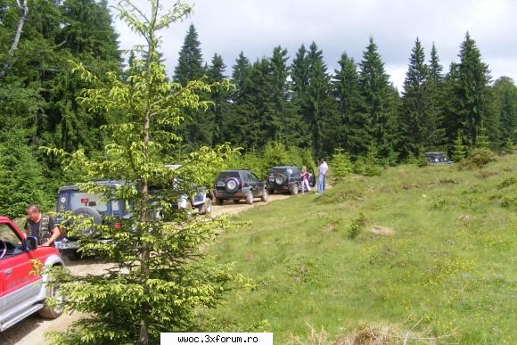 26 Iunie, reluam expeditiile in Mtii Capatanii ? - 4zof4wolf - Intalniri la sfarsit de saptamana