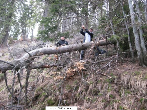 A urcat cineva cu 4X4 pe Folea ? - Eliberare drum catre golul alpin - Intalniri la sfarsit de saptamana