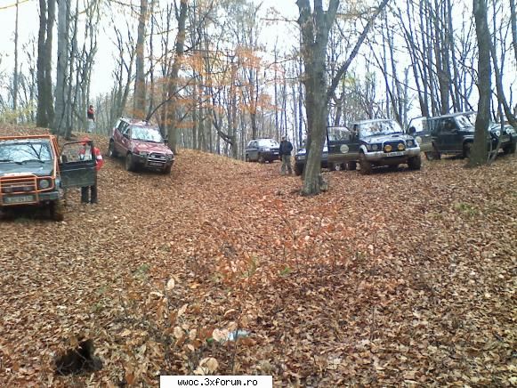 Ceva activitate in zona, duminica 15 nov.? - foarte frumoasa iesirea mai - Intalniri la sfarsit de saptamana