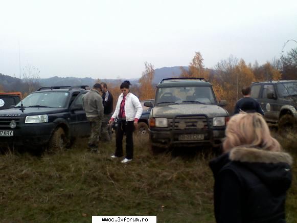 Ceva activitate in zona, duminica 15 nov.? - mii de multumiri tuturor - Intalniri la sfarsit de saptamana