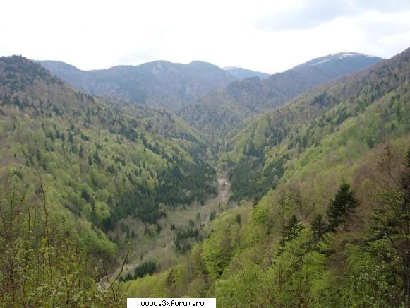 Cheile Cheii , iesire soft pe 3 mai - [wst]box - Intalniri la sfarsit de saptamana