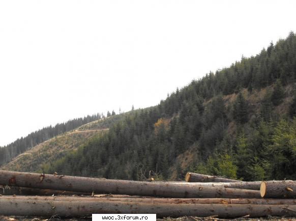 Cu Sam spre Transalpina - E o iesire facuta spre sfarsitul toamnei 2008 - Intalniri la sfarsit de saptamana