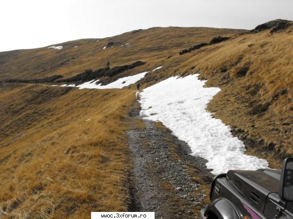 Cu Sam spre Transalpina - pana aici am ajuns. Stratul de zapada se - Intalniri la sfarsit de saptamana