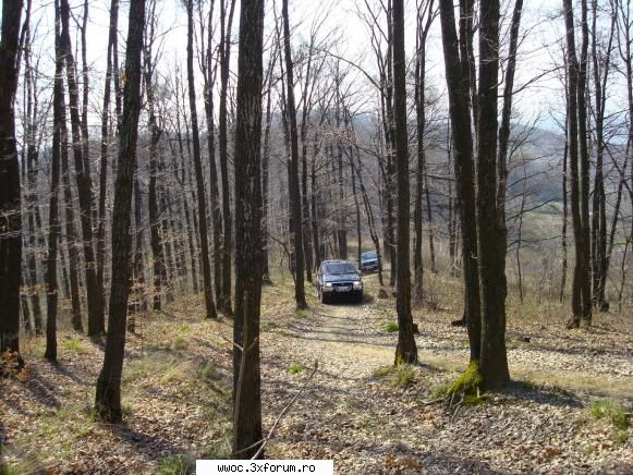 Hilux, Pathfinder & 2 X EXC - slalom printre copaci - Intalniri la sfarsit de saptamana