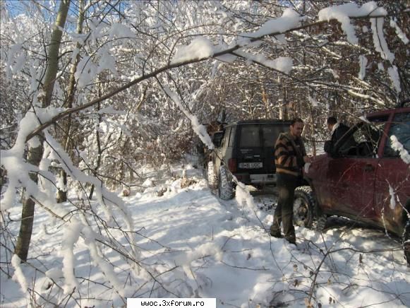 Iesire duminica 24 ianuarie? - Crazy Wolf - Intalniri la sfarsit de saptamana
