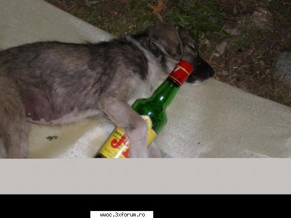 Intalnire saptamanala "vinoasa"... - Mad_Mack - Secretele lui Bachus