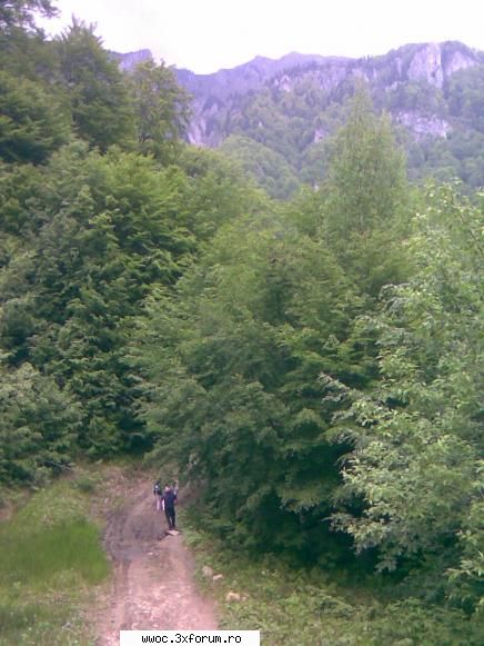 La "ricoveri"... - Oricum...pozele "hard", sper sa urmeze de la - Intalniri la sfarsit de saptamana