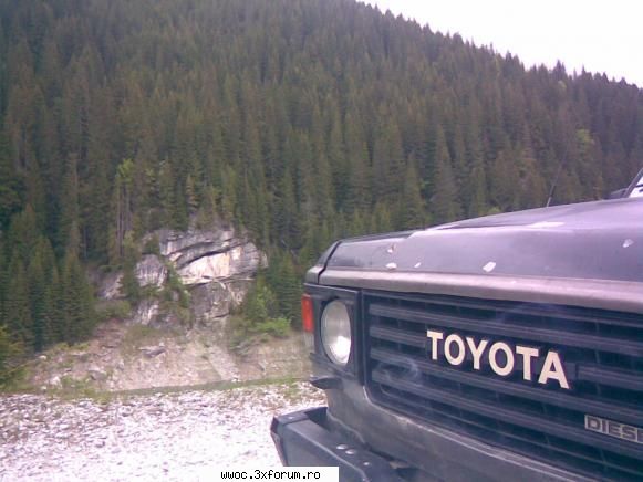 Lacul Galbenu (1304 m) - oldcarsmaniac - Intalniri la sfarsit de saptamana