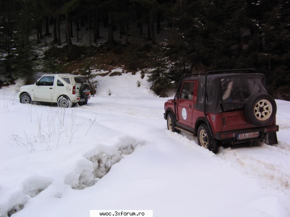 Lacul Galbenu (1304 m) - Din nou, pauza de..."joaca"... Veveritele...nota - Intalniri la sfarsit de saptamana