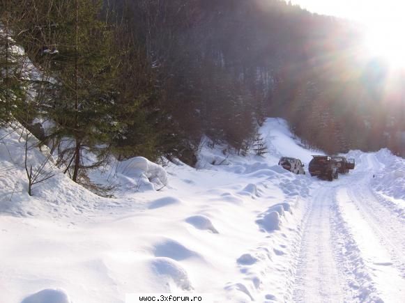 Lacul Galbenu (1304 m) - Noi ce sa mai zicem? - Intalniri la sfarsit de saptamana