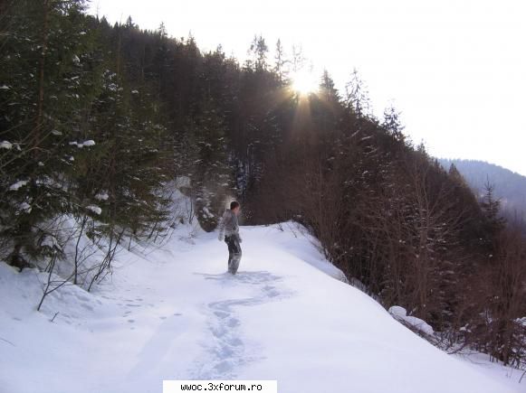 Lacul Galbenu (1304 m) - tot eu...pe carari de munte - Intalniri la sfarsit de saptamana