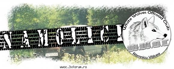 Nickname - Watzman - Viata forumului