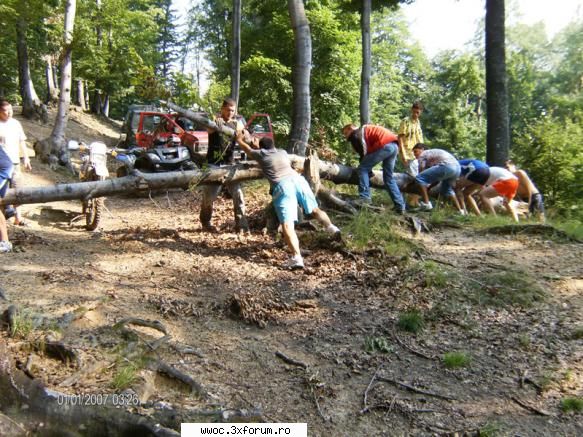 precum un copac cazut peste drum oz off-road