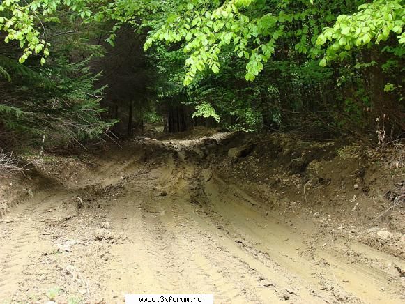 Offroad sau plimbare?!? - Oare gasim oameni cu masini interesati de - Intalniri la sfarsit de saptamana