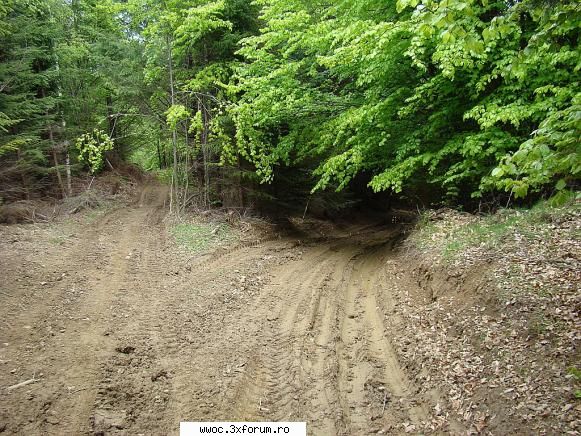 Offroad sau plimbare?!? - Exista si varianta "soft"..pe drumul din stanga - Intalniri la sfarsit de saptamana