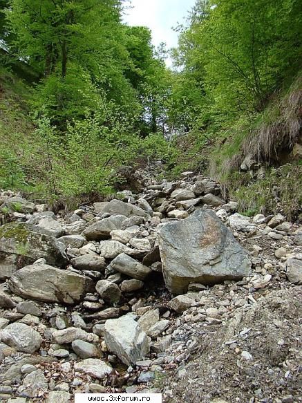 Offroad sau plimbare?!? - pe drumul acesta am identificat si o sectiunde - Intalniri la sfarsit de saptamana