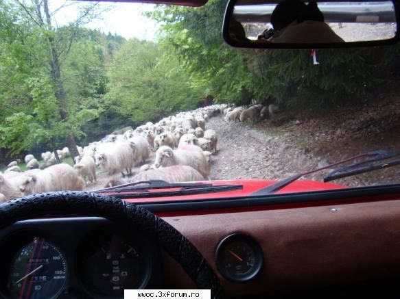 Offroad sau plimbare?!? - Light - Intalniri la sfarsit de saptamana