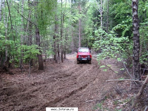 :) offroad sau